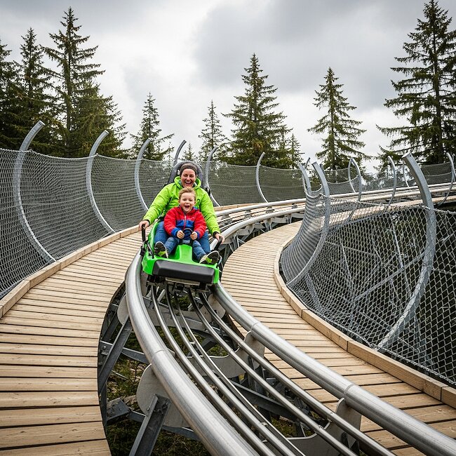 Bocksbergbob in Hahnenklee