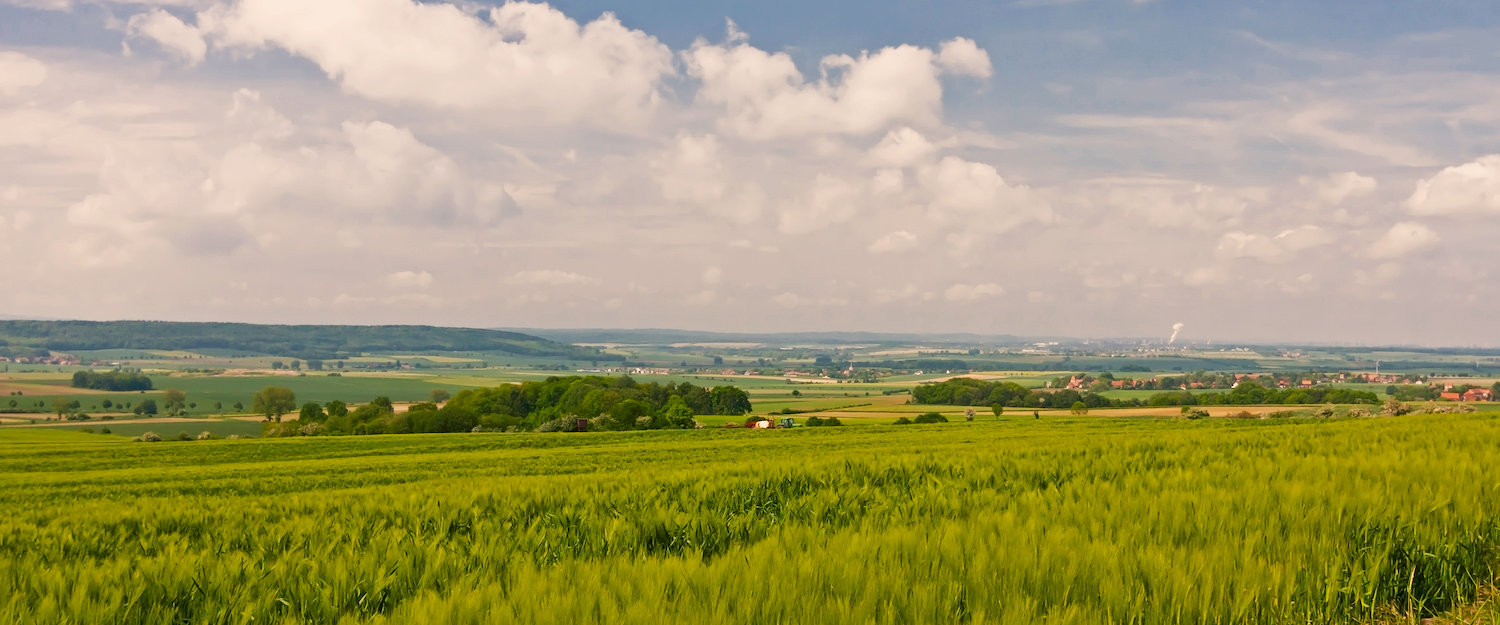 Ferienwohnungen und Ferienhäuser in Clausthal-Zellerfeld