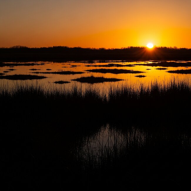 Sonnenuntergang in der Moorlandschaft Teufelsmoor