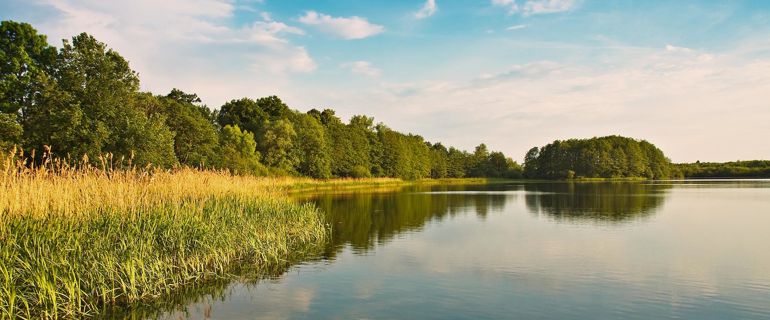 Ferienwohnungen und Ferienhäuser in der Feldberger Seenlandschaft