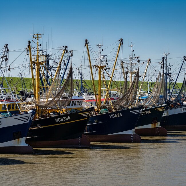 Shrimpkutter bei Greetsiel in Krummhörn