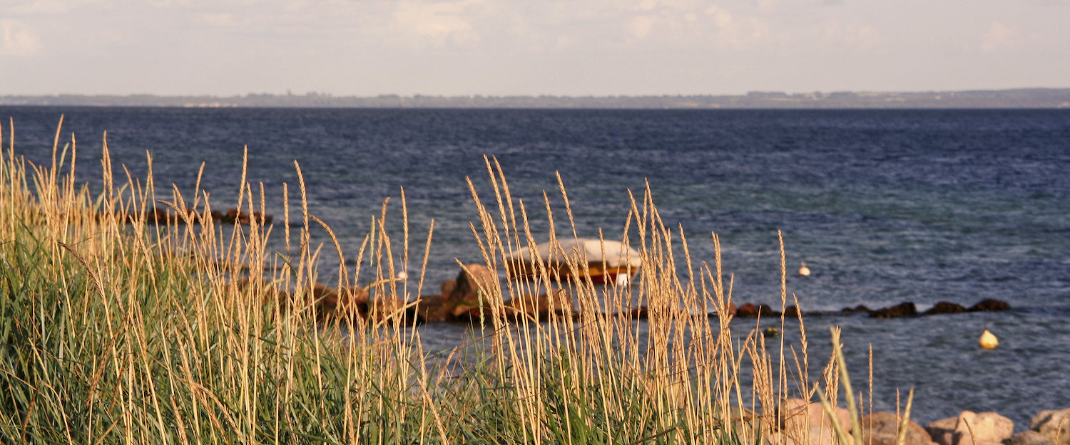 Blick auf das Meer durch die Dünen Blick auf das Meer durch die Dünen