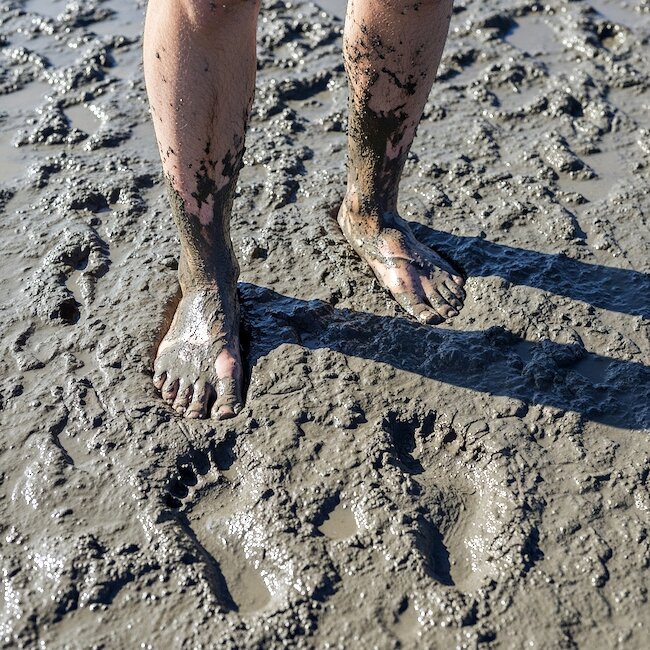 Wattwanderung im Büsumer Wattenmeer