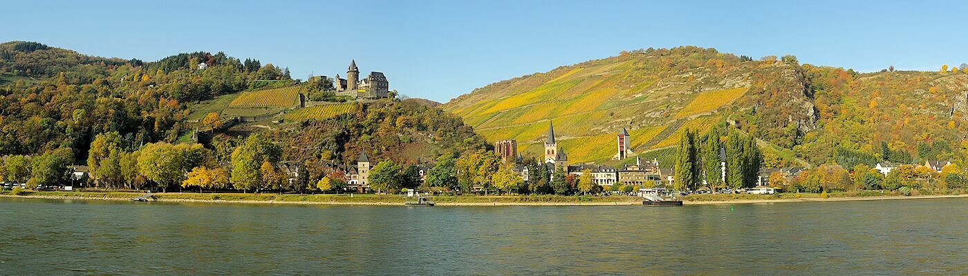 Ferienwohnungen & Ferienhäuser in Ruppertsberg