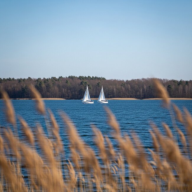 Boddenlandschaft bei Ribnitz-Damgarten