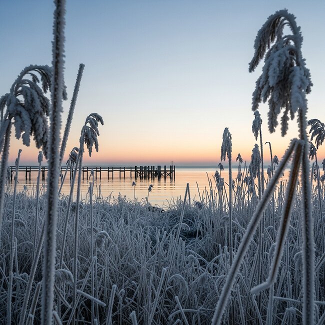 Winter am Bodden