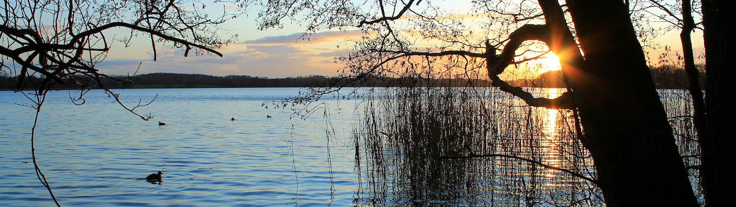 Urlaub mit Hund in Bad Bramstedt