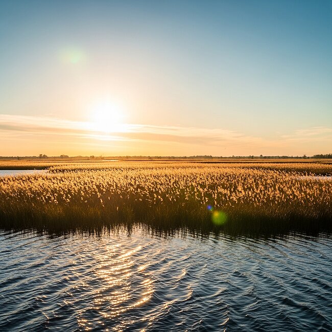 Bodstedter Bodden im Sonnenuntergang