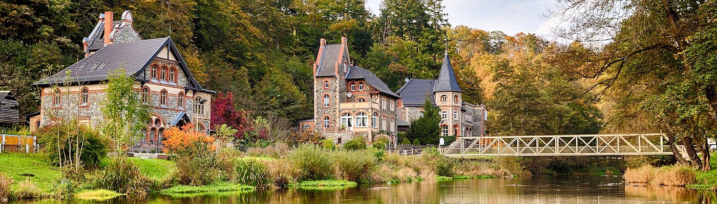 Ferienhäuser & Hotelzimmer mit Sauna in Ilsenburg (Harz)