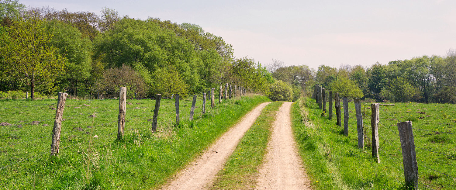 Ferienwohnungen und Ferienhäuser in der Geltinger Bucht