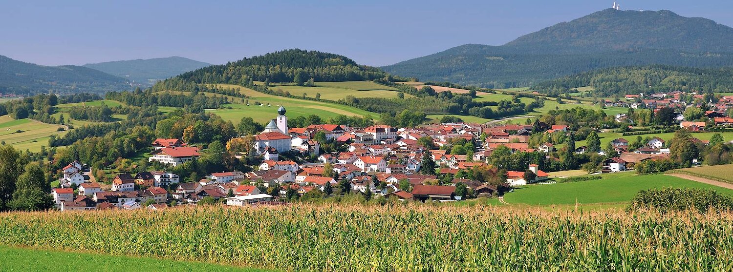 Ferienhäuser mit Sauna in Stamsried