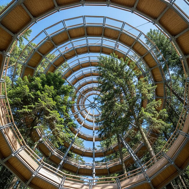 Baumturm im Nationalparkzentrum Lusen Baumturm im Nationalparkzentrum Lusen