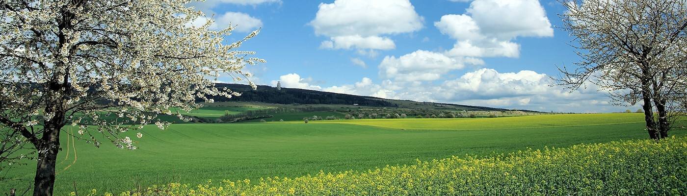 Urlaub mit Hund in Apolda