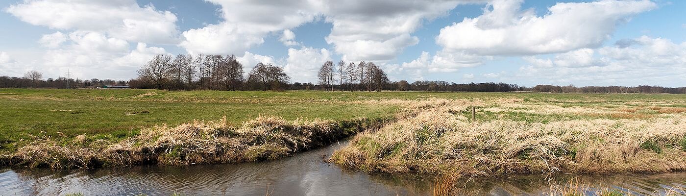Urlaub mit Hund in Saterland