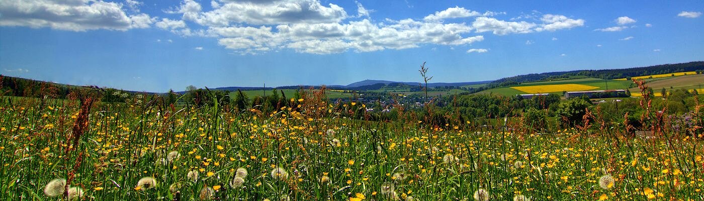 Urlaub mit Hund in Stollberg (Erzgeb.)