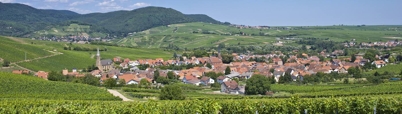 Ferienhäuser in Waldfischbach-Burgalben