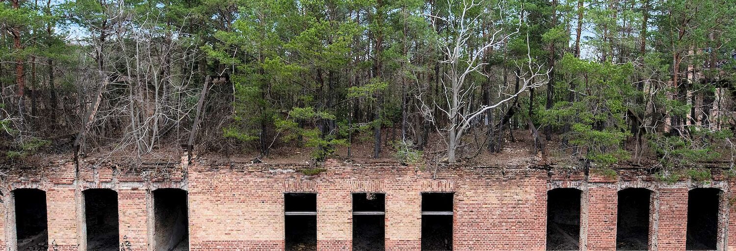 Ferienwohnungen & Ferienhäuser mit Sauna am Baumkronenpfad Beelitz-Heilstätten