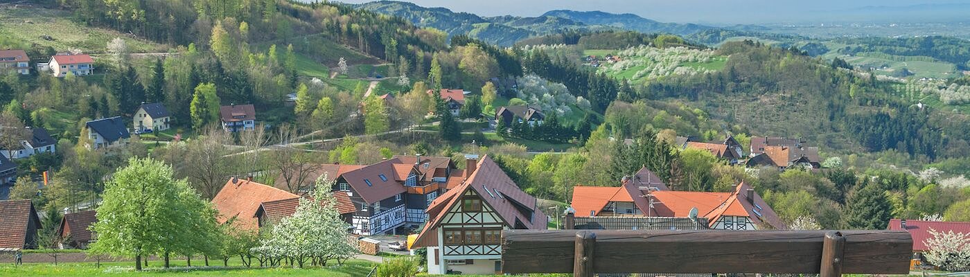 Ferienwohnungen mit Sauna in Sasbachwalden