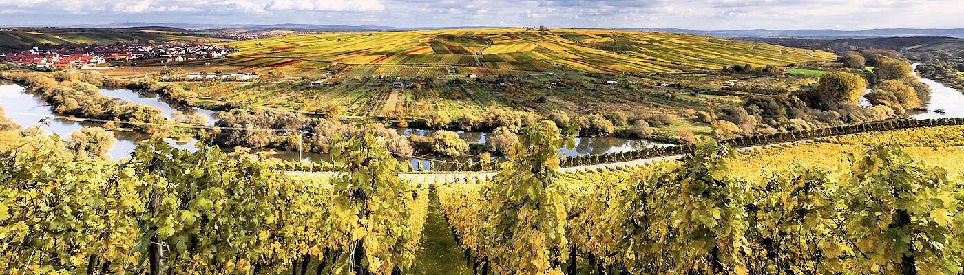 Urlaub mit Hund in Georgensgmünd