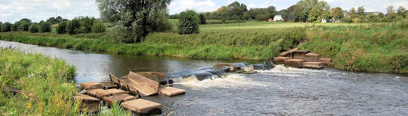 Urlaub mit Hund in Jörl