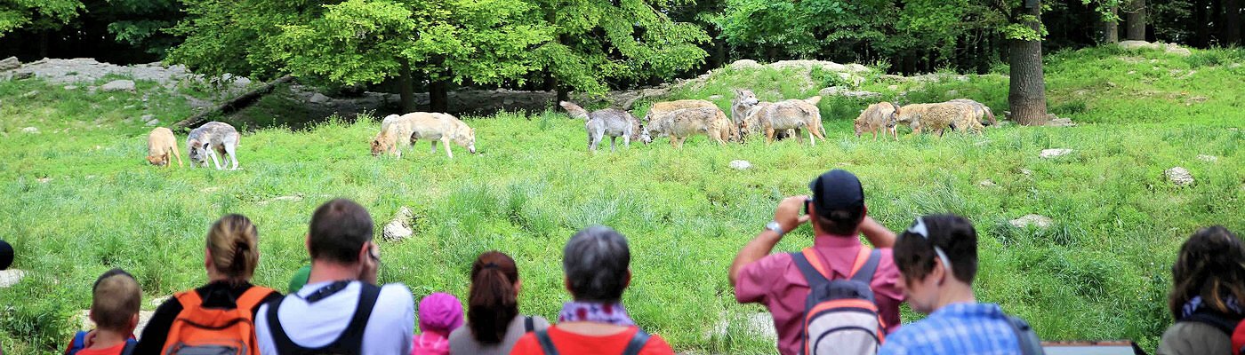 Pensionen am Wildpark Bad Mergentheim