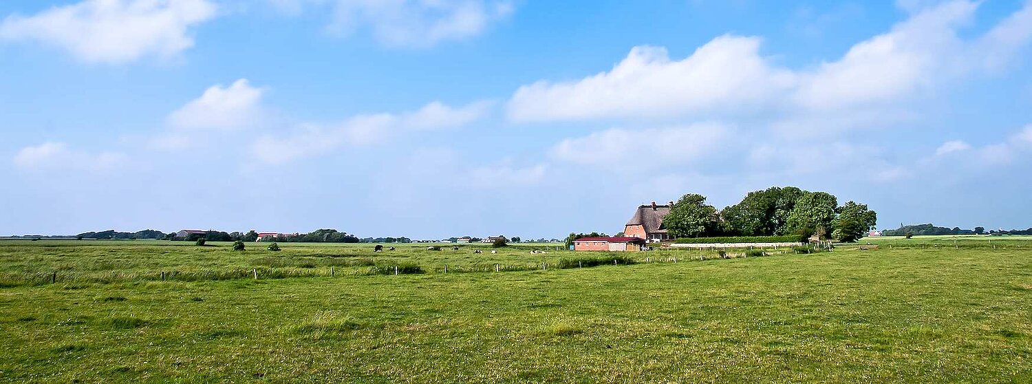 Ferienhäuser & Ferienwohnungen in der Umgebung von Niebüll