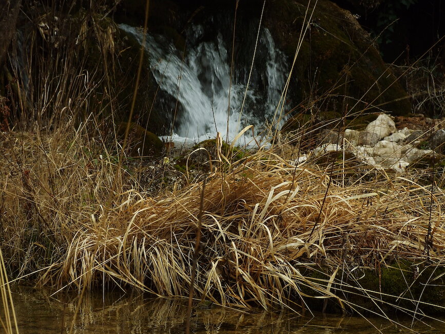Casas rurales en Mesones, Albacete