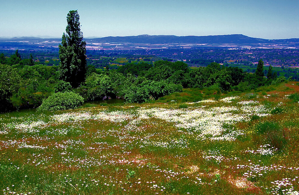 Casas rurales en Villafranca de la Sierra, Ávila