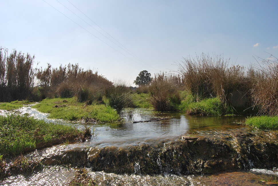 Casas rurales en Hinojosa del Valle, Badajoz
