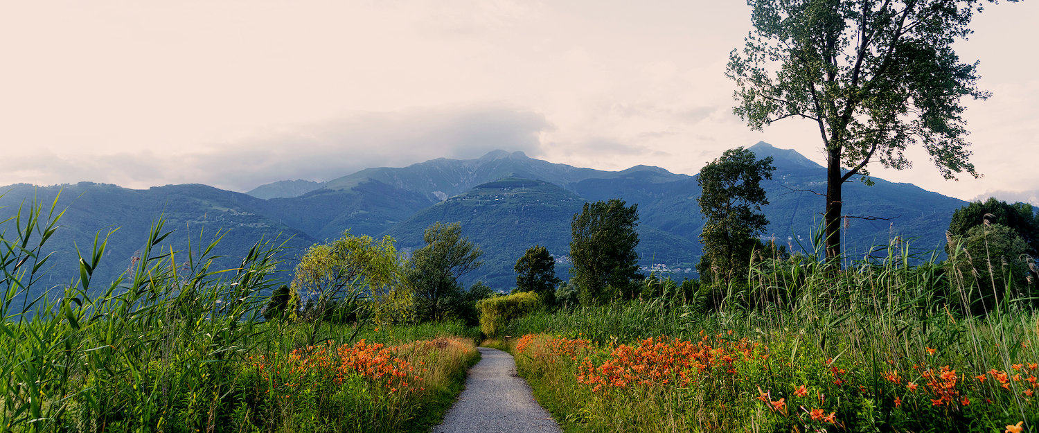 Sentiero in Valtellina, nei pressi di Colico. Sentiero in Valtellina, nei pressi di Colico.
