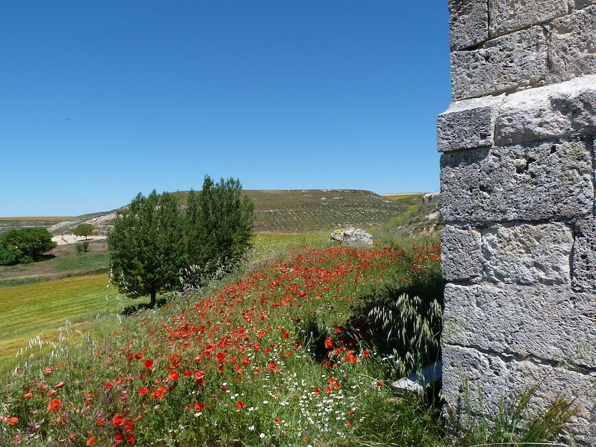 Casas rurales en Santibáñez de Esgueva, Burgos
