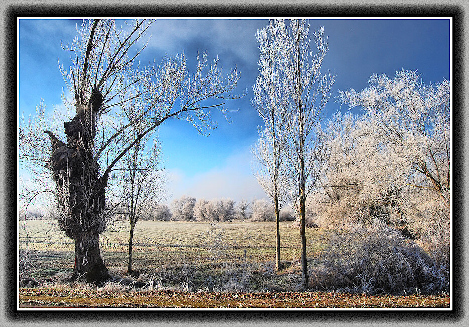 Casas rurales en Sotragero, Burgos