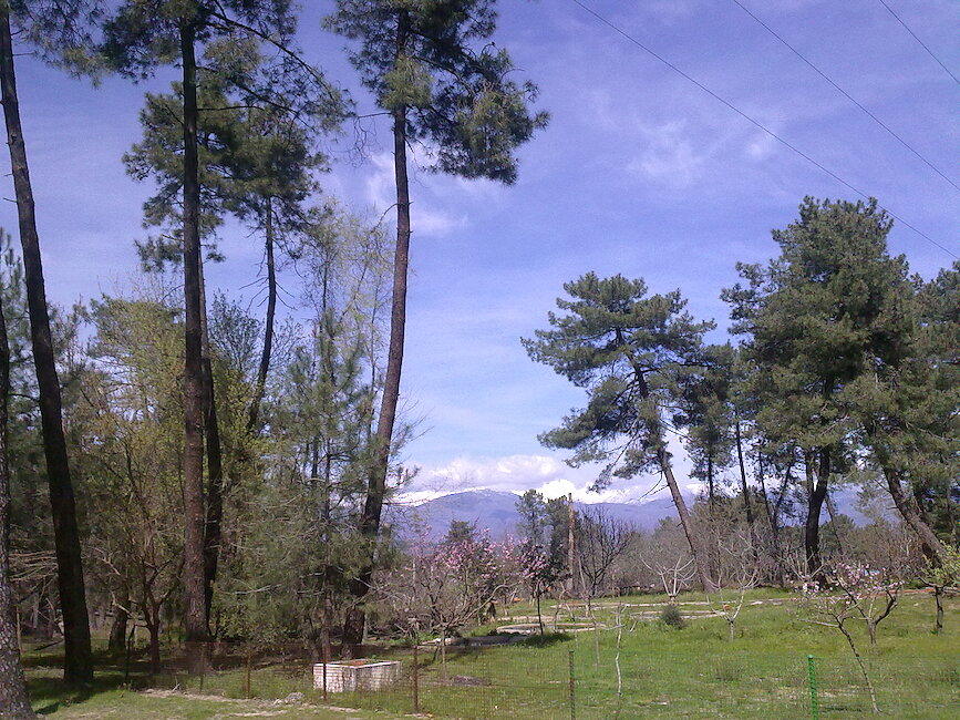 Casas rurales en Talayuela, Cáceres
