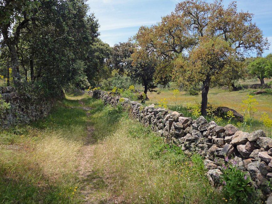 Casas rurales en Mesas de Ibor, Cáceres