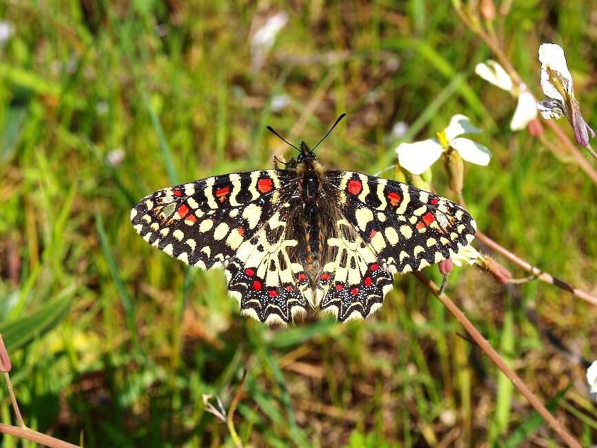 Casas rurales en Calzadilla, Cáceres