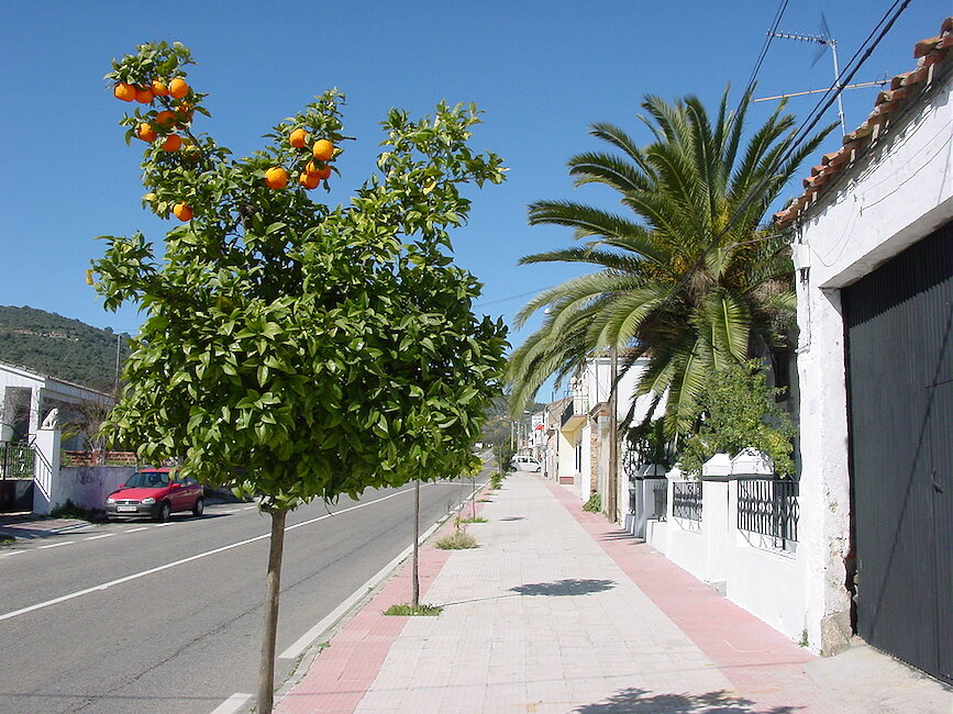 Casas rurales en Conquista de la Sierra, Cáceres