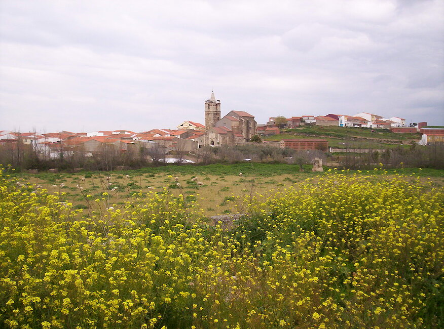 Casas rurales en Holguera, Cáceres