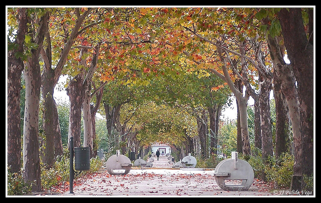 Casas rurales en Rosalejo, Cáceres