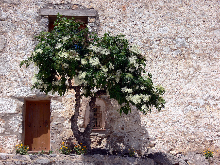 Casas rurales en Chodos, Castellón