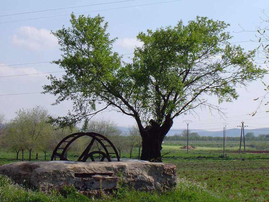 Casas rurales en Argamasilla de Calatrava, Ciudad Real