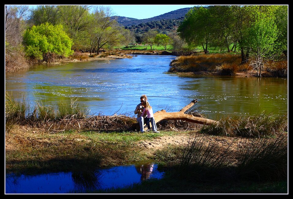 Casas rurales en Luciana, Ciudad Real