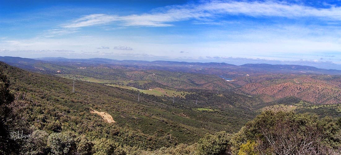 Casas rurales en Solana del Pino, Ciudad Real