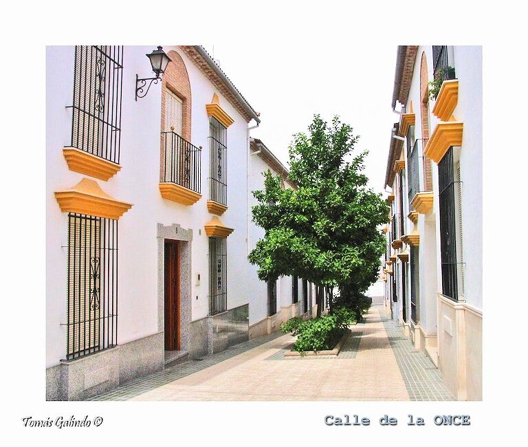 Casas rurales en Rambla, Córdoba