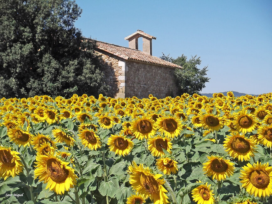 Casas rurales en Centenys, Girona
