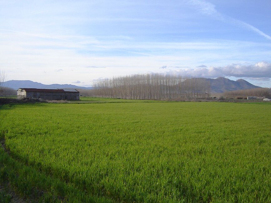 Casas rurales en Vegas del Genil, Granada