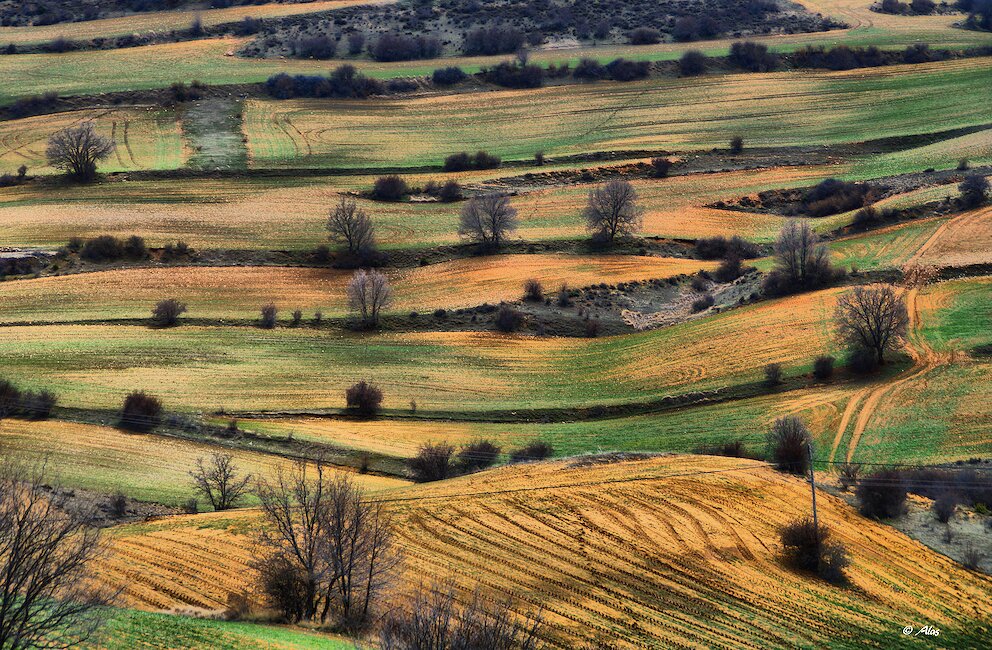 Casas rurales en Piqueras, Guadalajara