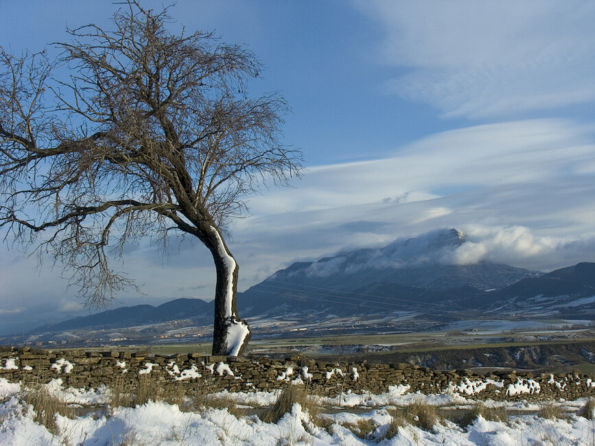 Casas rurales en Araguás del Solano, Huesca