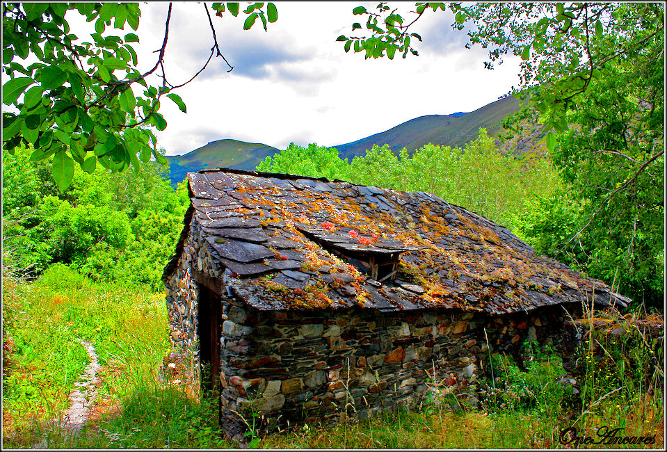 Casas rurales en Pereda de Ancares, León