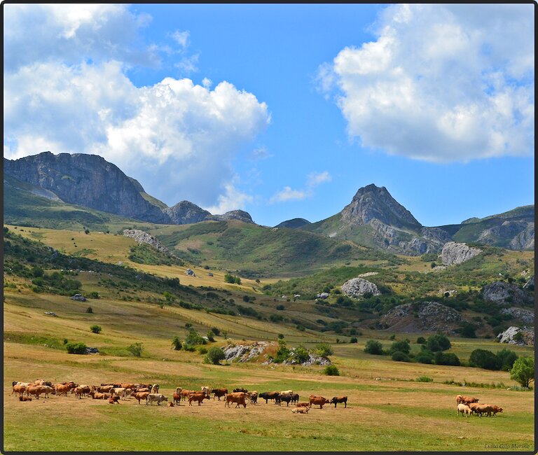 Casas rurales en Maraña, León