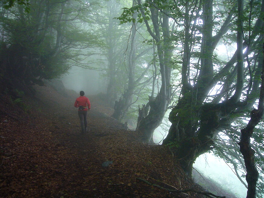 Casas rurales en Bausen, Lleida